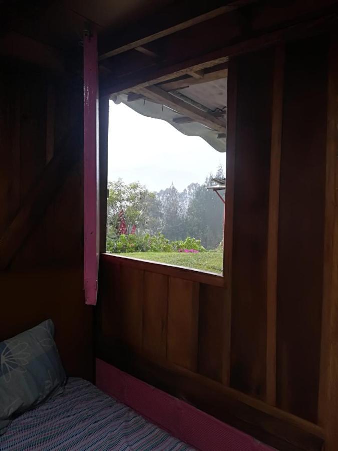 Finca Cafetera El Coral ハルディン エクステリア 写真