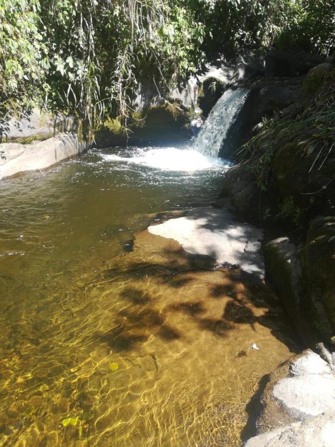 Finca Cafetera El Coral ハルディン エクステリア 写真