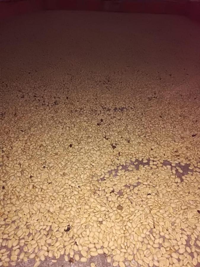 Finca Cafetera El Coral ハルディン エクステリア 写真