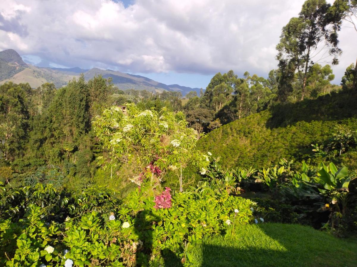 Finca Cafetera El Coral ハルディン エクステリア 写真