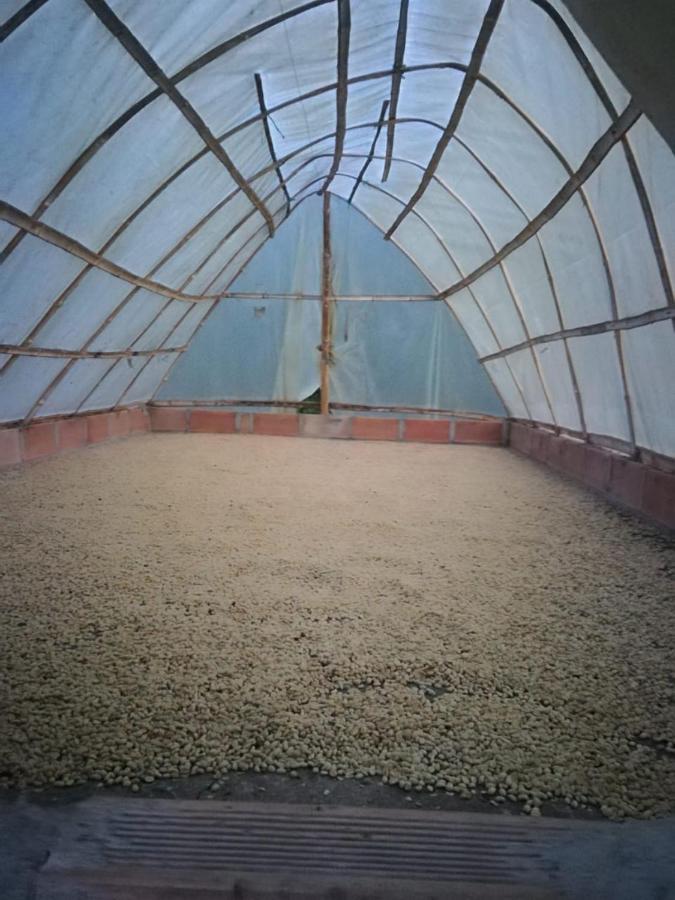 Finca Cafetera El Coral ハルディン エクステリア 写真